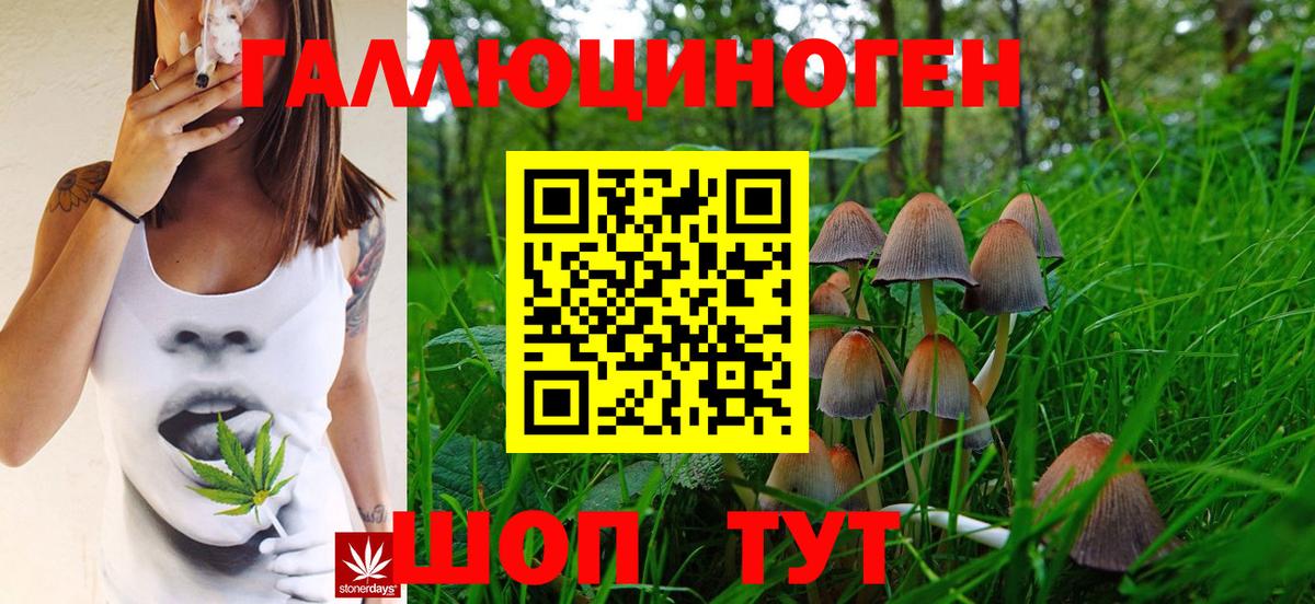 Подольск  магазин    Вход с VPN  Псилоцибиновые грибы Cubensis 